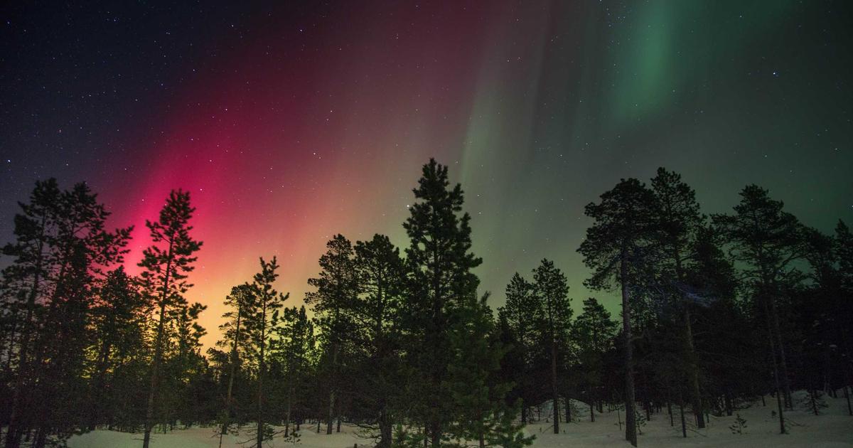 Why Your API Security Is a Joke: 3 Critical Vulnerabilities Every Developer Ignores