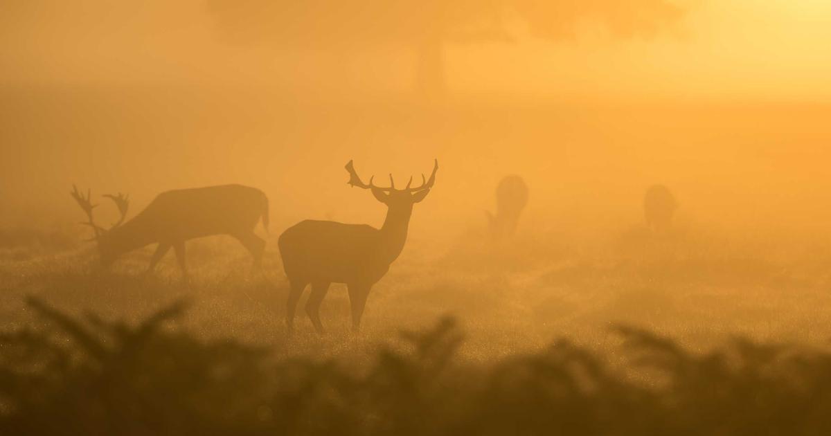 Why Your Zero Trust Implementation Is Broken: 3 Architectural Flaws That Leave You Vulnerable