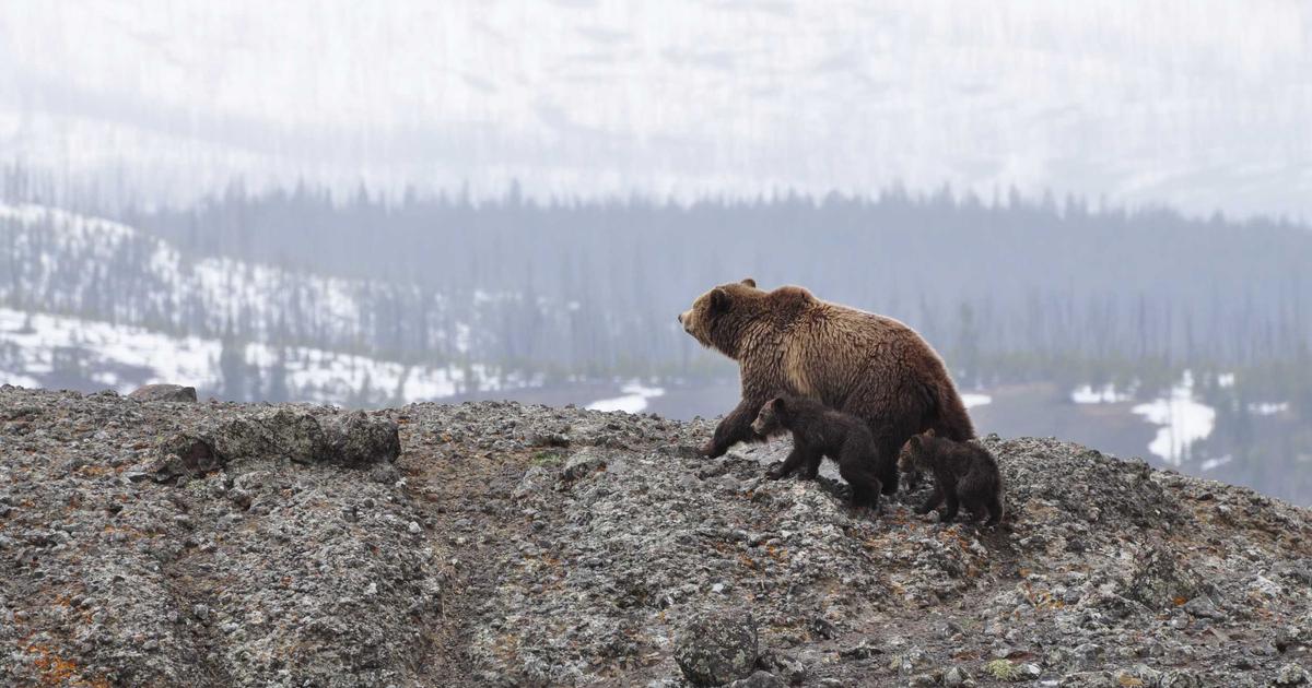 The Infrastructure-as-Code Testing Crisis: Why Your Terraform Validations Are Missing Critical Flaws