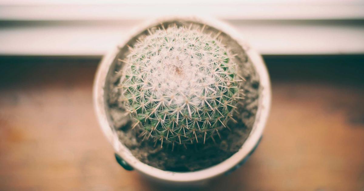 Open Source Betrayal: How Corporate Takeovers Are Killing Community Projects