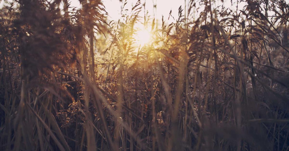 Why Open Source Documentation Is Broken: How Bad Docs Are Killing Adoption