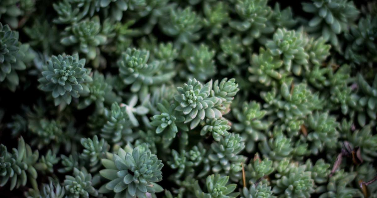 Why Your Multi-Cloud Strategy Is Failing: The 3 Integration Nightmares That Break Cross-Platform Deployments