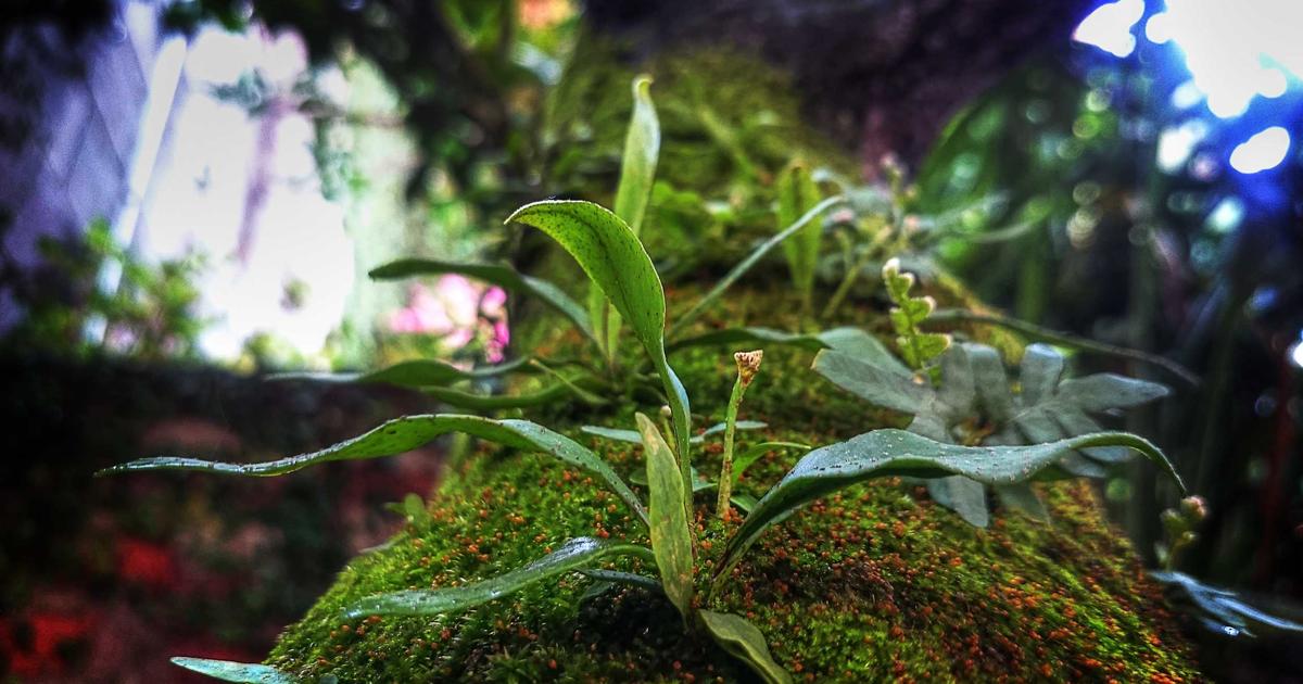 The Open Source Sustainability Myth: Why Free Software Isn’t Actually Free